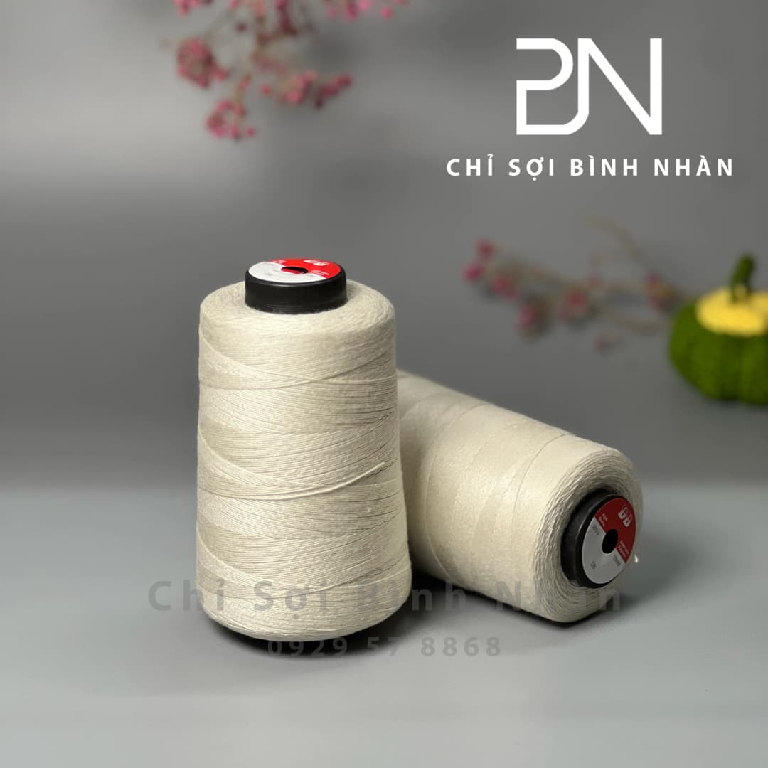 Chỉ may 20/6